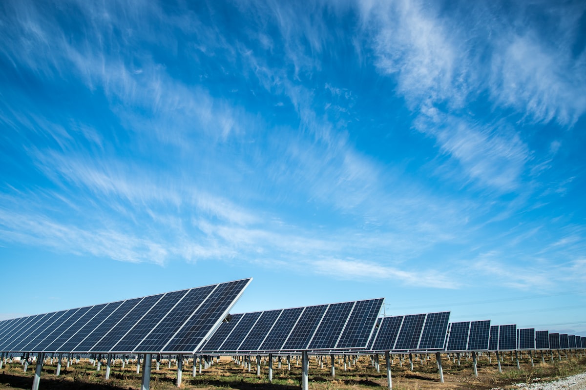 Paneles solares fotovoltaicos en una planta a gran escala